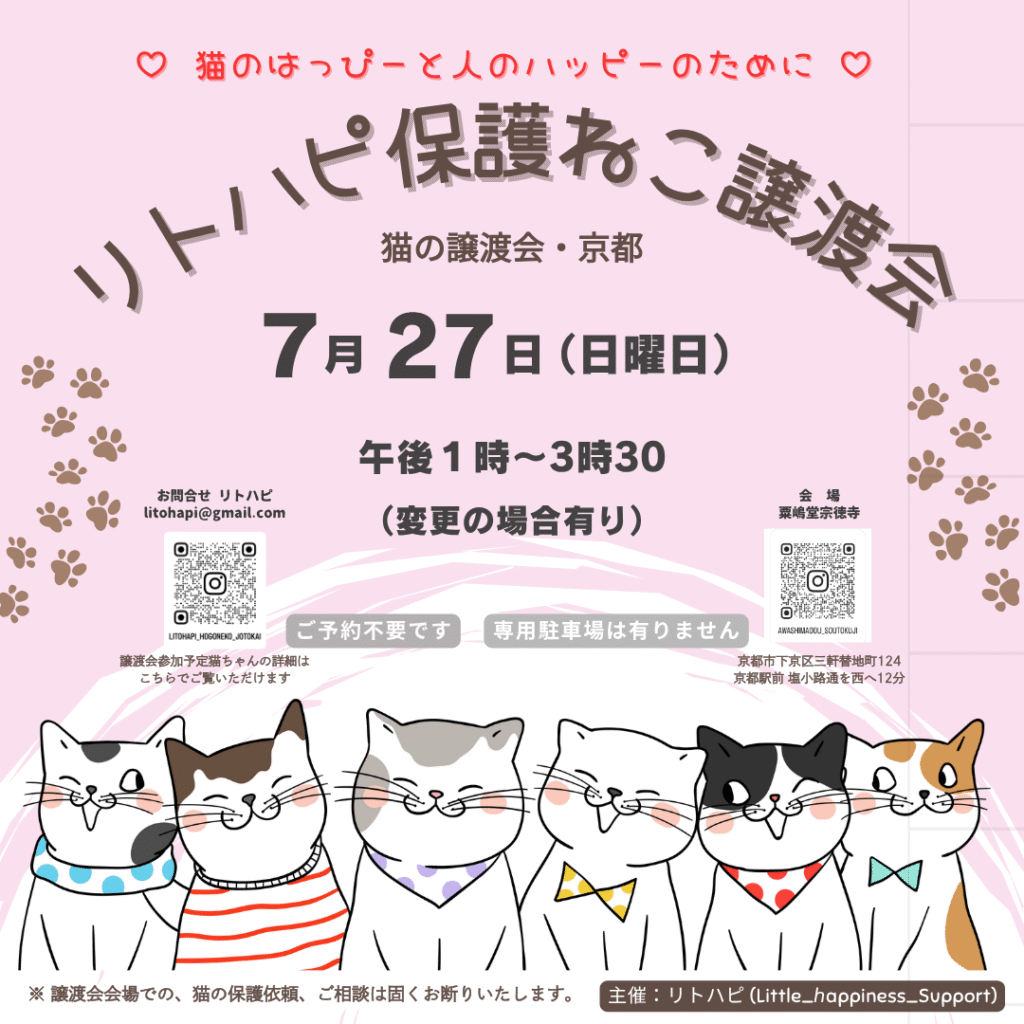 リトハピ保護ねこ譲渡会』2025年7月｜リトハピ保護ねこ会